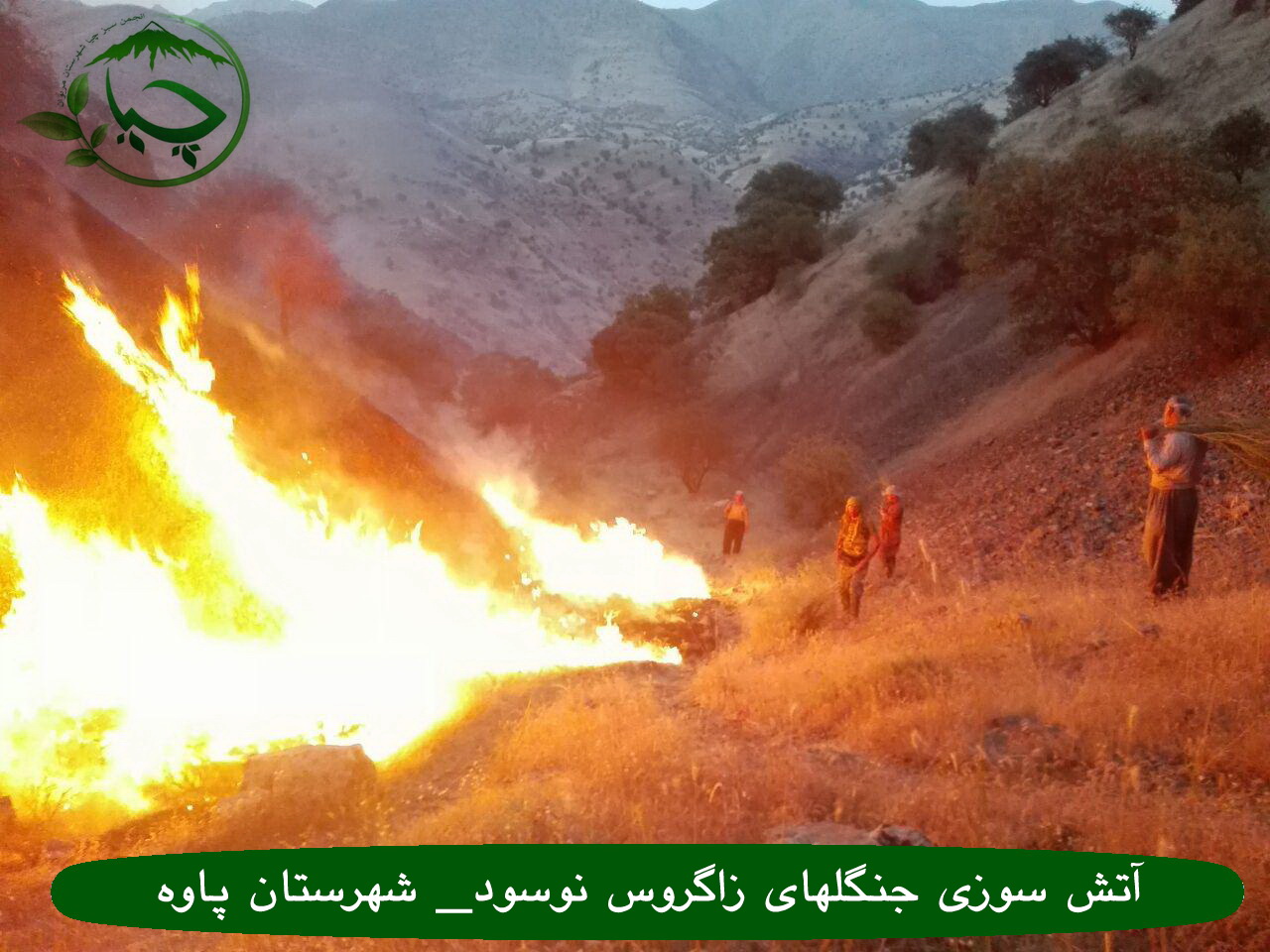 آتش سوزی جنگلهای پاوە بە روایت تصویر _8 اردیبهشت 1396