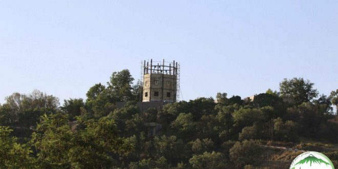 زریبار به مثابه گوشت قربانی