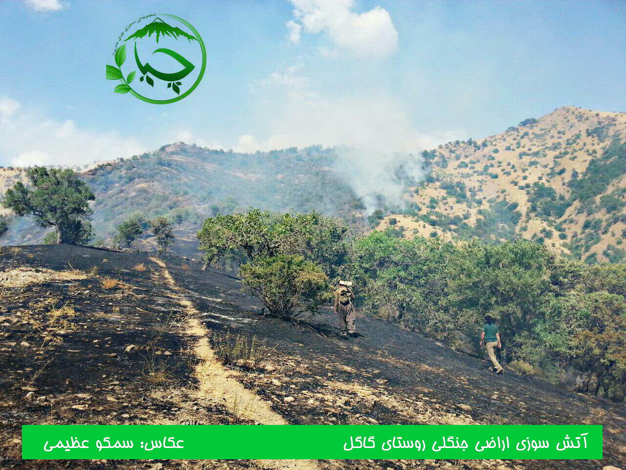 گالری تصاویر آتش سوزی اراضی جنگلی روستای گاگل