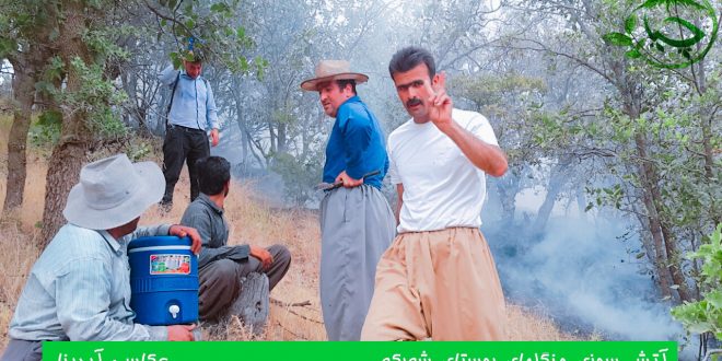 گالری تصاویر آتس سوزی جنگلهای روستای “ُشەڕکە”  15 تیر 96