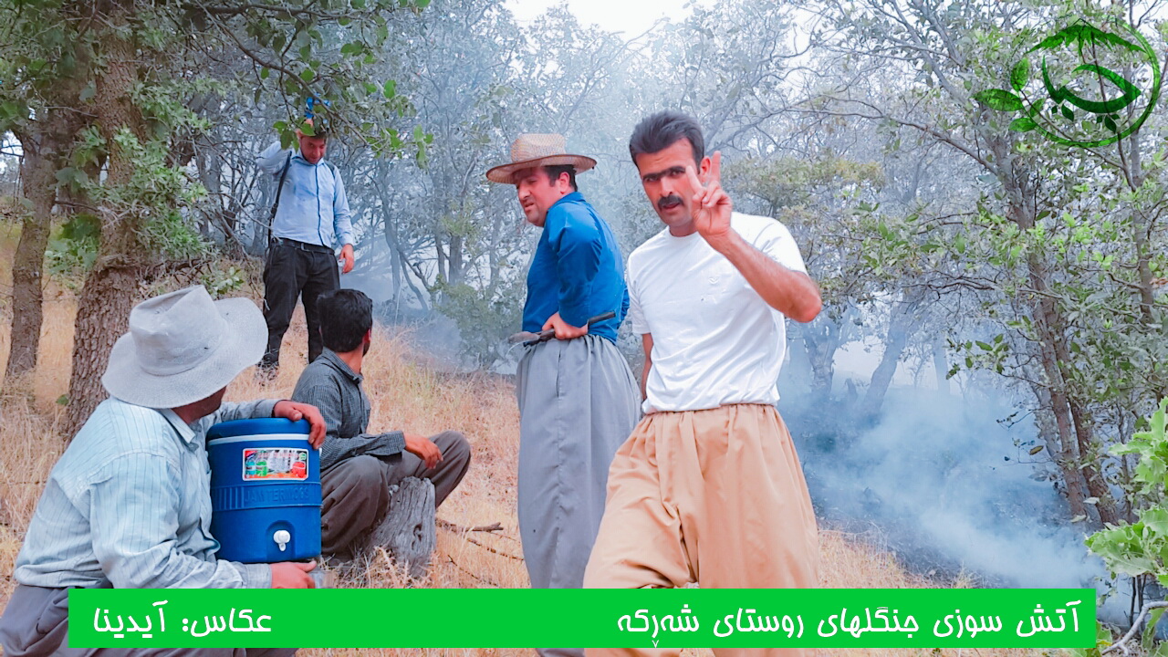 گالری تصاویر آتس سوزی جنگلهای روستای “ُشەڕکە”  15 تیر 96