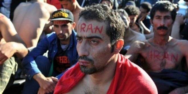 پندارِ پوشالیِ پناهجو!