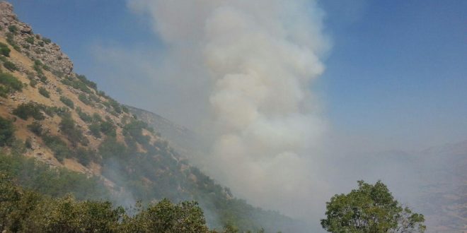 آتش بازی؛ در جنگلهای شاهو