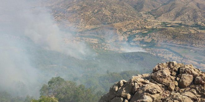 بحران جنگلهای زاگرس؛ با تأکید بر آتش زدن عمدی