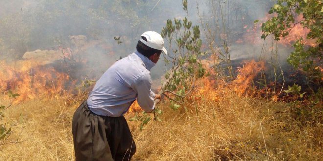 ئاوری کۆساڵان