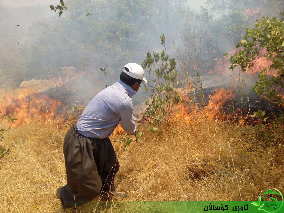 ئاوری کۆساڵان