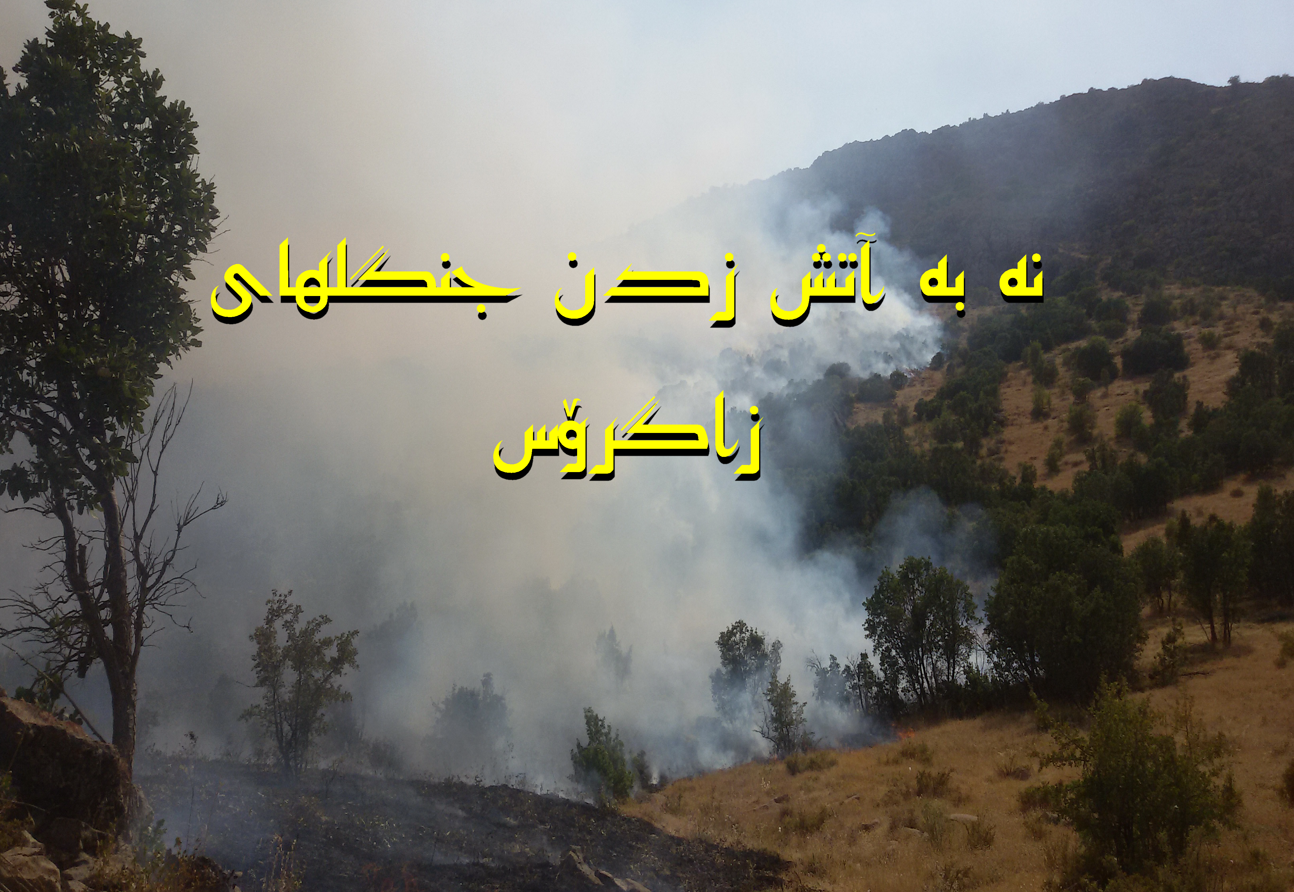 بیانیە کمپین نە بە آتش زدن جنگلهای زاگروس