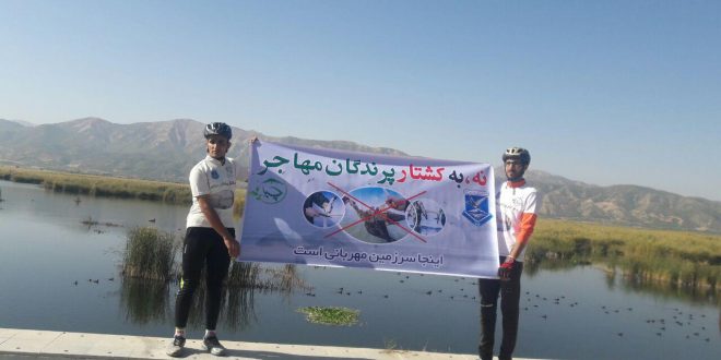 در رکاب پرندگان مهاجر