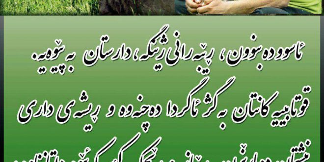 ئاسوودە بنوون، ڕێبەرانی ژینگە