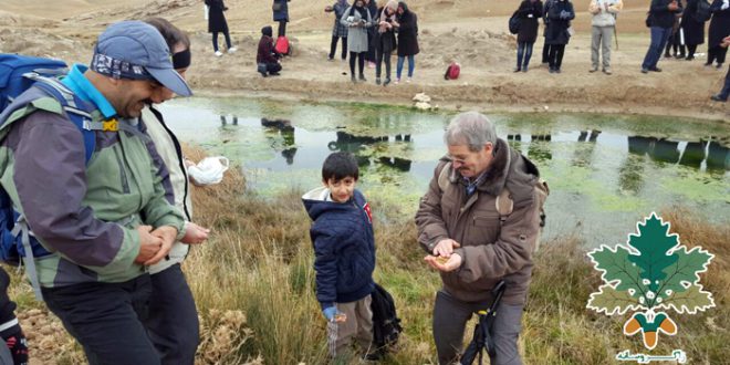 هەڵمەتی چاندنی بەڕوو لە بیجار