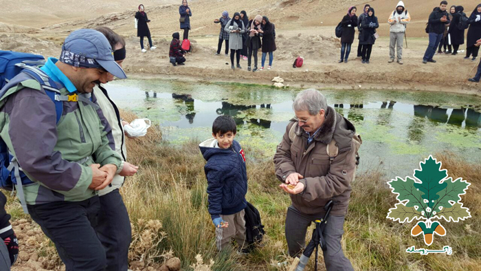 هەڵمەتی چاندنی بەڕوو لە بیجار