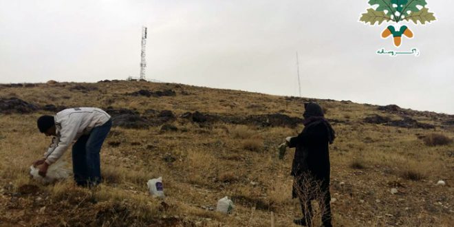 هەڵمەتی چاندنی بەڕوو لە قوروە