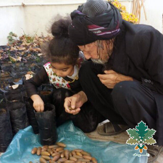 هەڵمەتی چاندنی بەڕوو لە داڵاهۆ