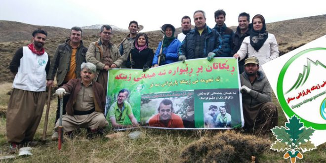 هەڵمەتی چاندنی بەڕوو لە سەقز