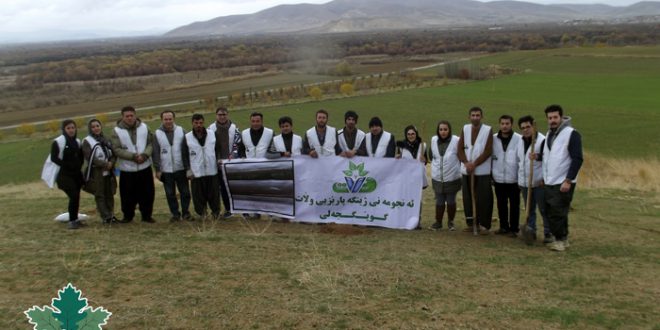 هەڵمەتی چاندنی بەڕوو لە بۆکان