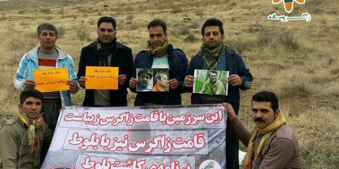 هەڵمەتی چاندنی بەڕوو لە مووژەژ