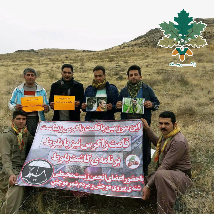 هەڵمەتی چاندنی بەڕوو لە مووژەژ