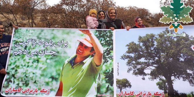 هەڵمەتی چاندنی بەڕوو لە کامێران