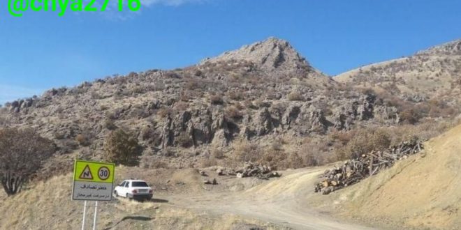 اگر روزی تصمیم به قطع درخت بلوطی گرفتید، لطفا صورت خود را بپوشانید!