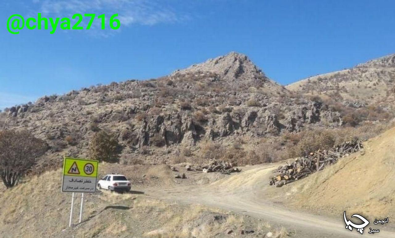 اگر روزی تصمیم به قطع درخت بلوطی گرفتید، لطفا صورت خود را بپوشانید!