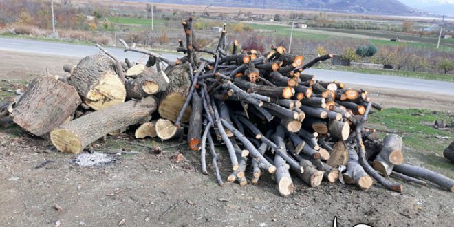 تاڵانی وڵات (بەین درەتفێ و پیرسەفا)