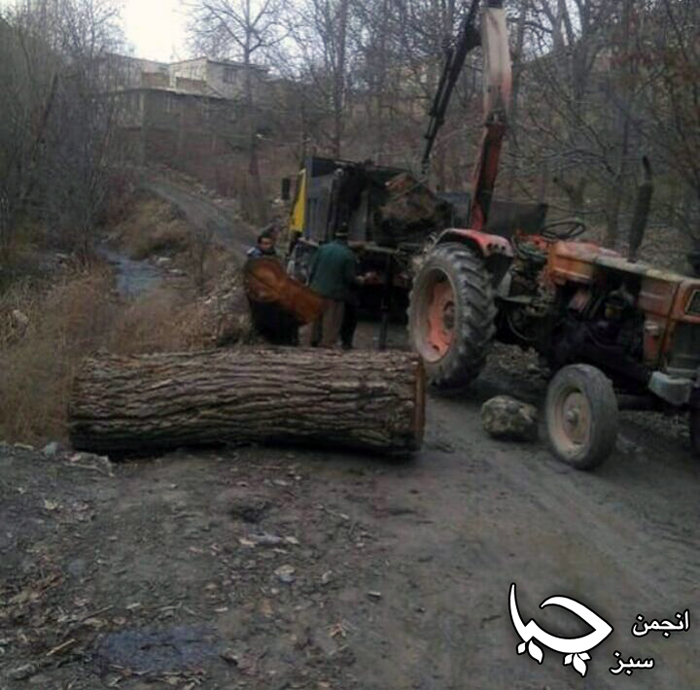 تاڵانی وڵات (بێساران)