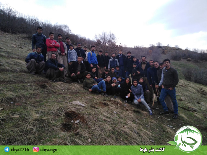 کاشت بذر بلوط توسط اعضای کمیته روستاهای انجمن سبز چیا