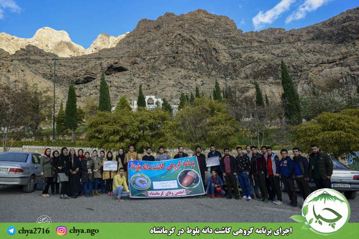 اجرای برنامه گروهی کاشت دانه بلوط توسط انجمن وفای کرمانشاه