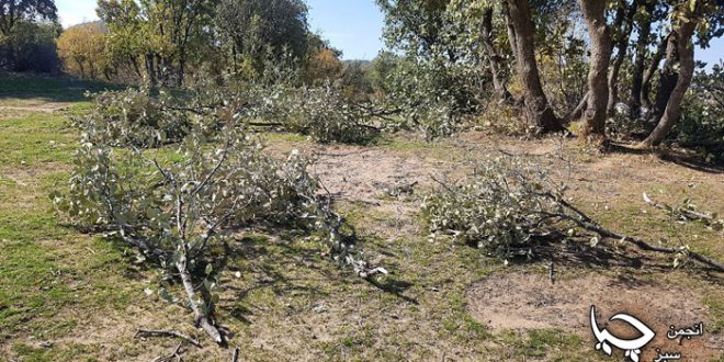 تاڵانی وڵات (ساوا – وشکێن – بالک)