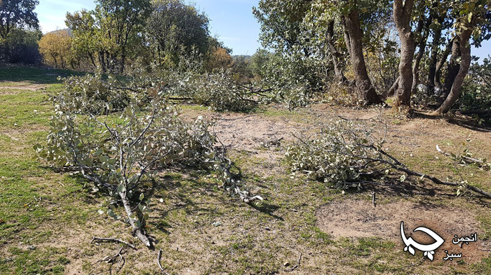 تاڵانی وڵات (ساوا – وشکێن – بالک)