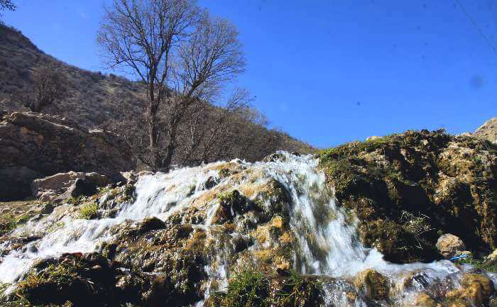 معضل کمبود آب در فلات ایران، نتیجه‌ی نابودی جنگل‌های زاگرس است