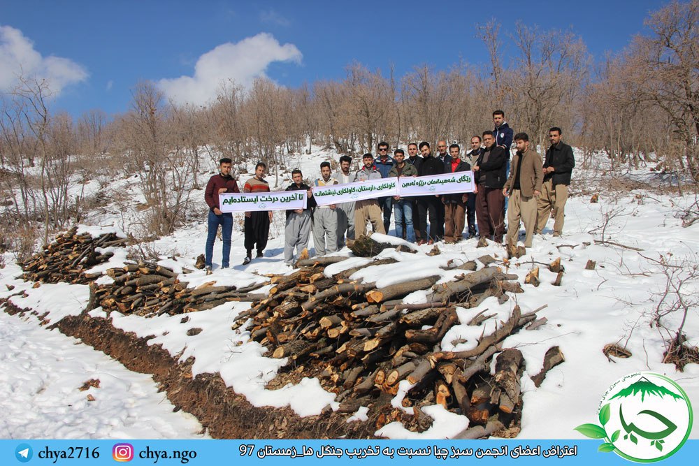 اعتراض اعضای انجمن سبز چیا به تخریب جنگل ها