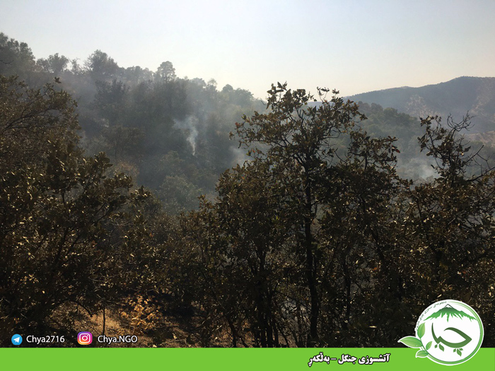 آتشسوزی جنگل – به‌ڵکه‌ڕ‌