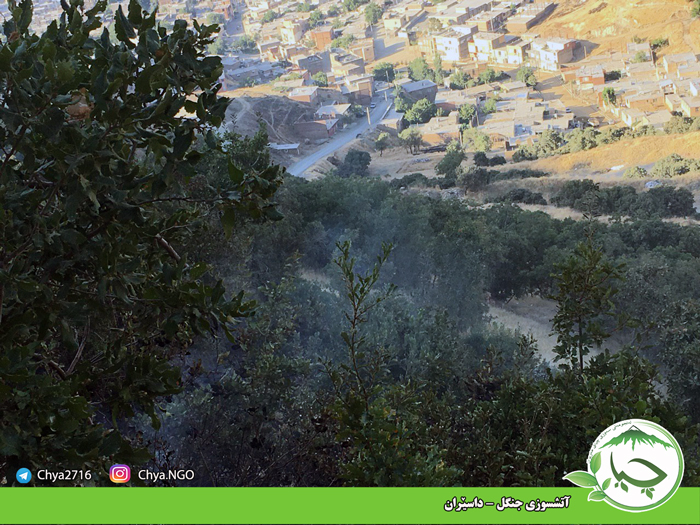 آتشسوزی جنگل – داسێران