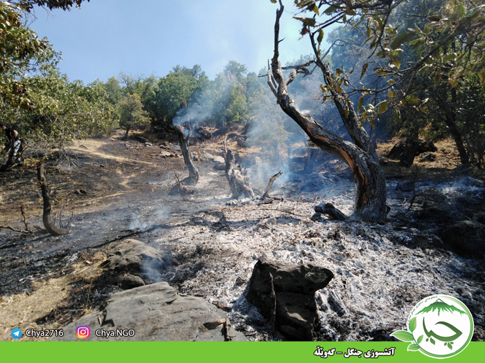 آتشسوزی جنگل – گه‌وێڵه‌