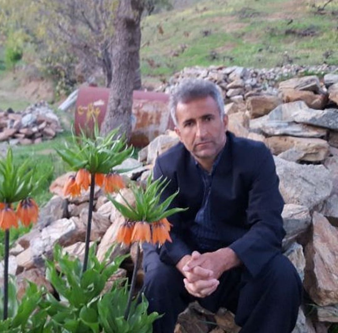 فریادی از جنس رنج بلوط های زاگرس