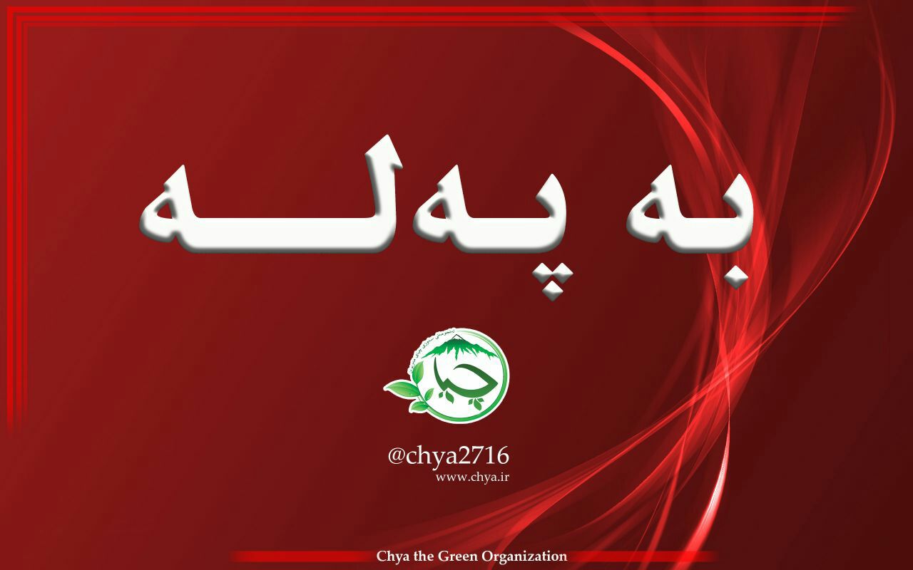 مصدوم شدن یکی از اعضای فعال انجمن سبزچیا در آتش جنگل‌های روستای دۆڵەبێ