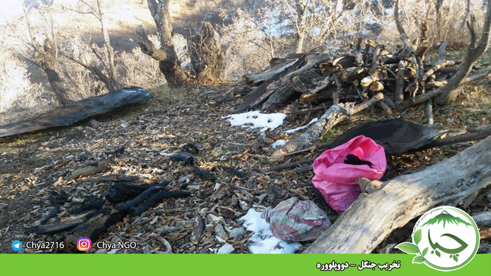 تخریب جنگل – دووپلووره