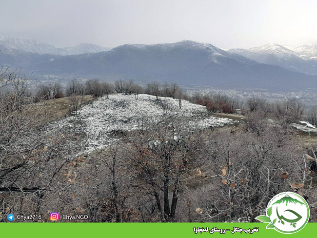 تخریب جنگل – روستای لەنجاوا
