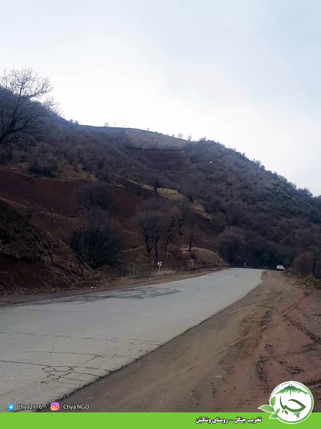 تخریب جنگل – روستای وشکێن