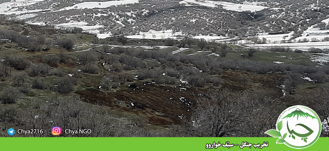 تخریب جنگل – سێف خواروو