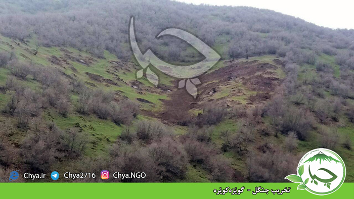 تخریب جنگل –  گوێزەکوێرە