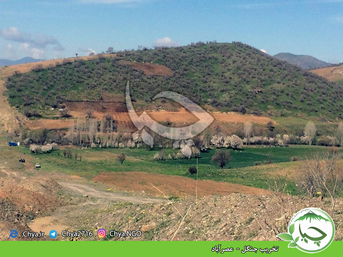 تخریب جنگل –  عصرآباد