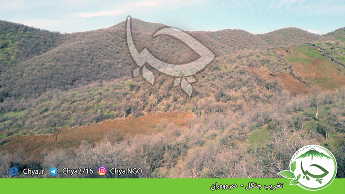 تخریب جنگل –  دەرەوەران