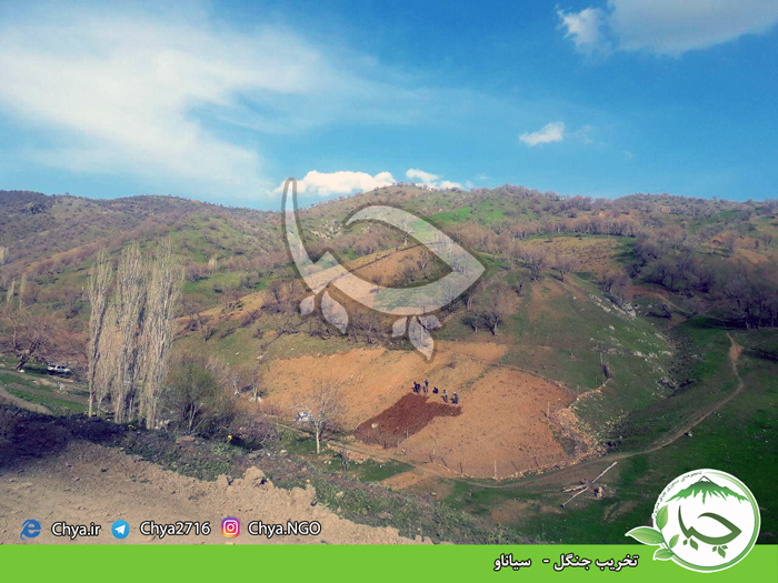 تخریب جنگل –   سیاناو