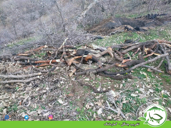 تخریب جنگل –  گمارەلنگ