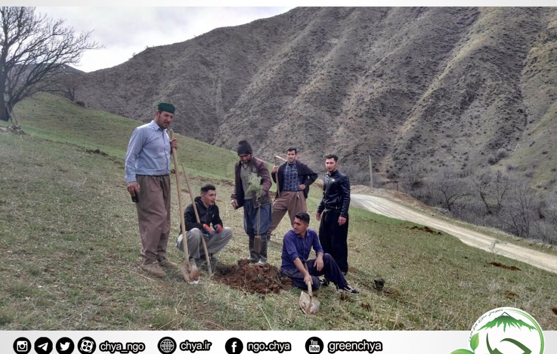 نهال‌کاری –  روستای نێزڵ