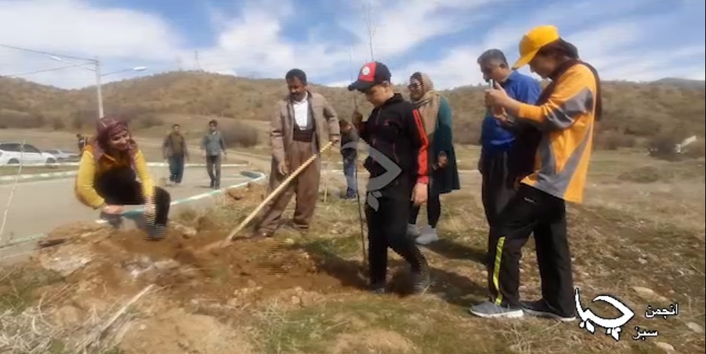 کاشت ۱۰۰ نهال ‘پەڵک’ در آرامستان شهرستان مریوان