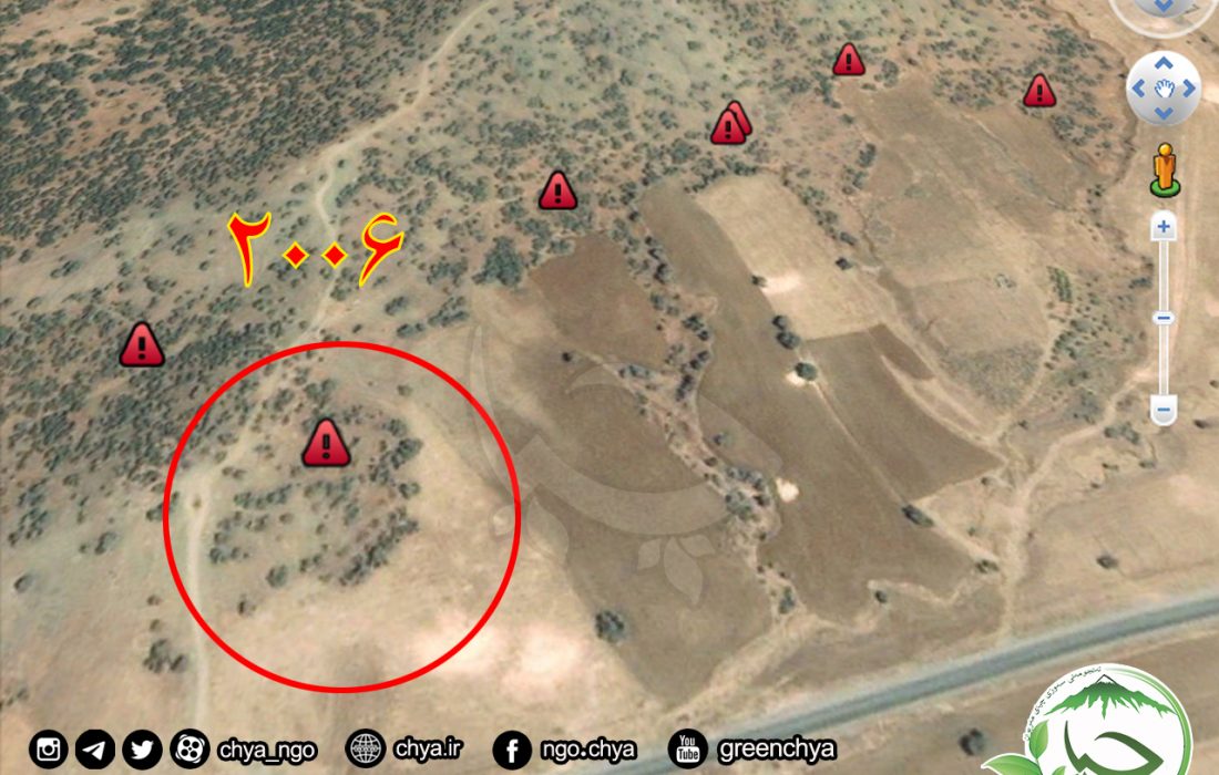 تخریب جنگل های ” حەسەن ئاوڵە – تازاوا”