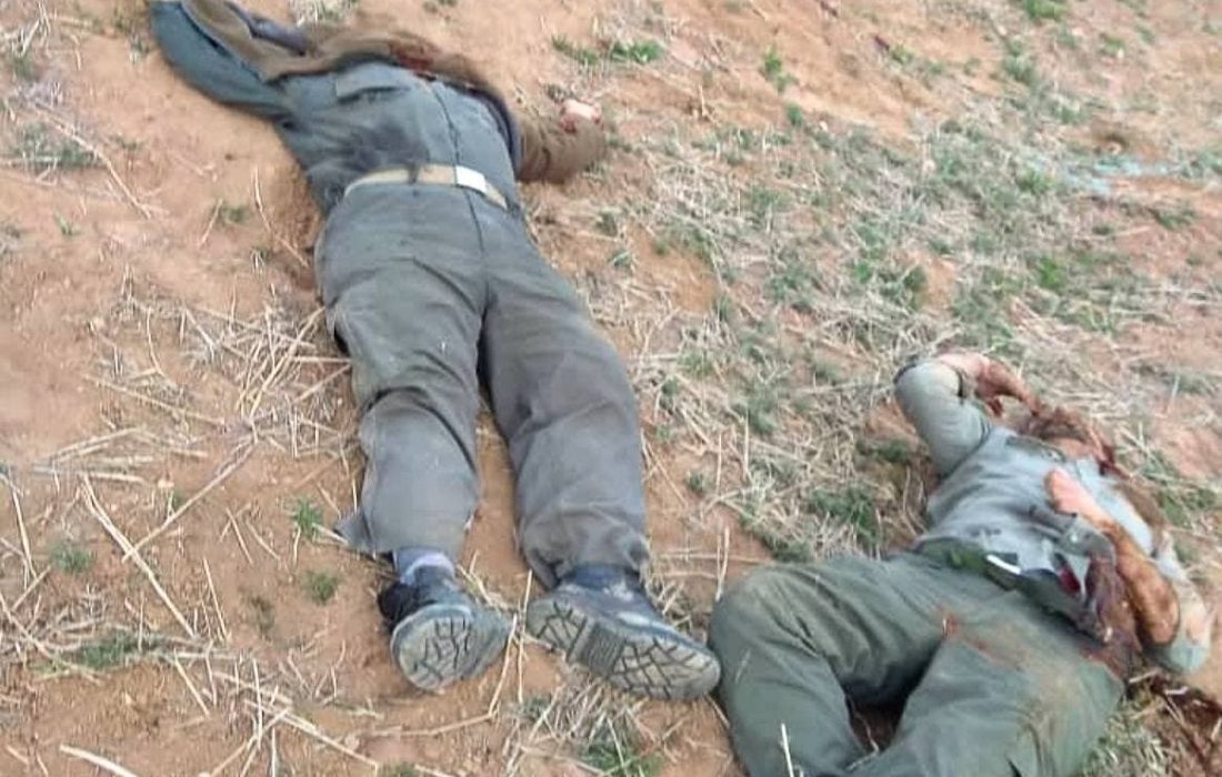 قاتلان و غارتگران همچنان میتازند